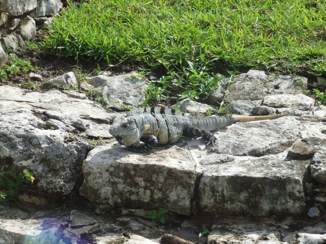 DSCF2819.jpg, 786 KB